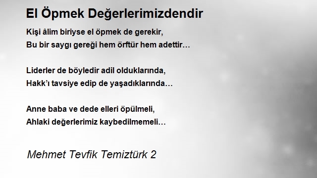 Mehmet Tevfik Temiztürk 2