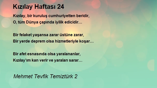 Mehmet Tevfik Temiztürk 2