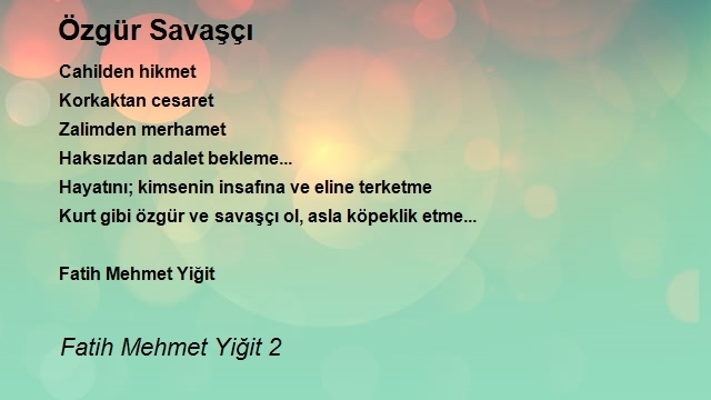 Fatih Mehmet Yiğit 2