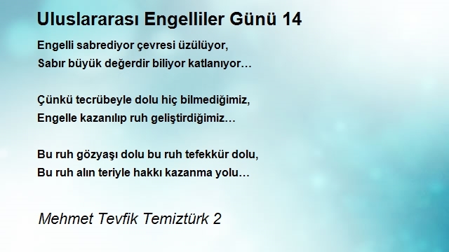 Mehmet Tevfik Temiztürk 2