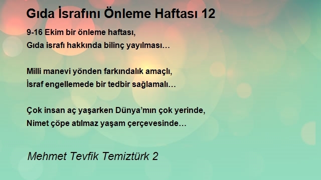 Mehmet Tevfik Temiztürk 2