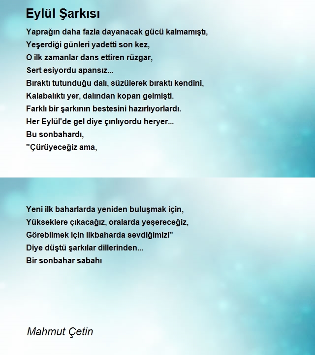 Mahmut Çetin