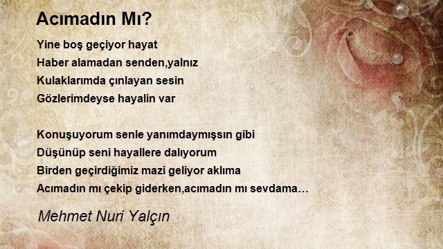 Mehmet Nuri Yalçın