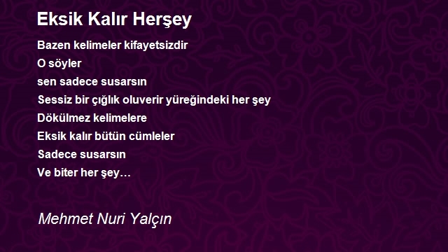 Mehmet Nuri Yalçın