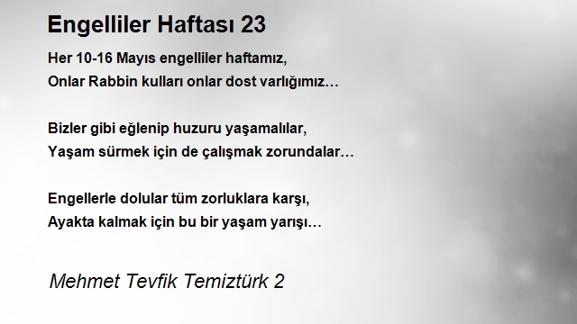 Mehmet Tevfik Temiztürk 2