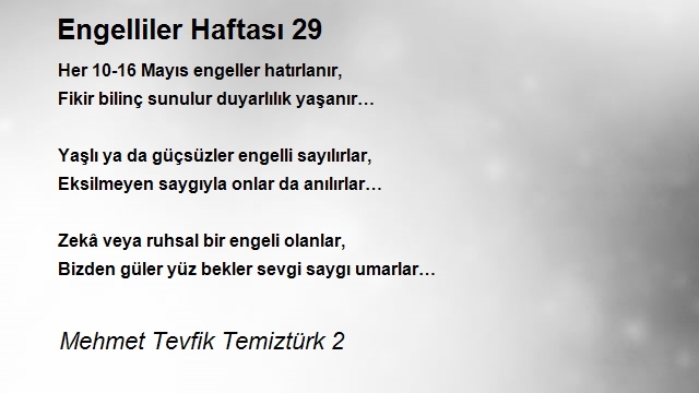 Mehmet Tevfik Temiztürk 2