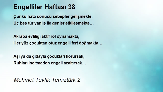 Mehmet Tevfik Temiztürk 2