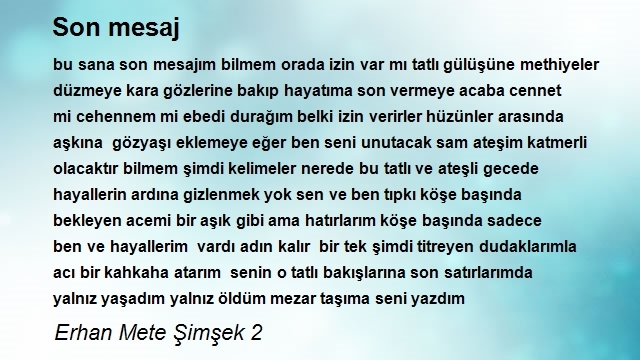 Erhan Mete Şimşek 2