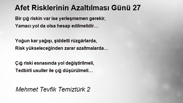 Mehmet Tevfik Temiztürk 2