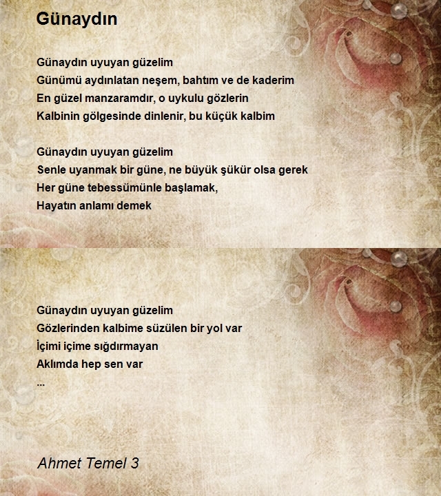 Ahmet Temel 3