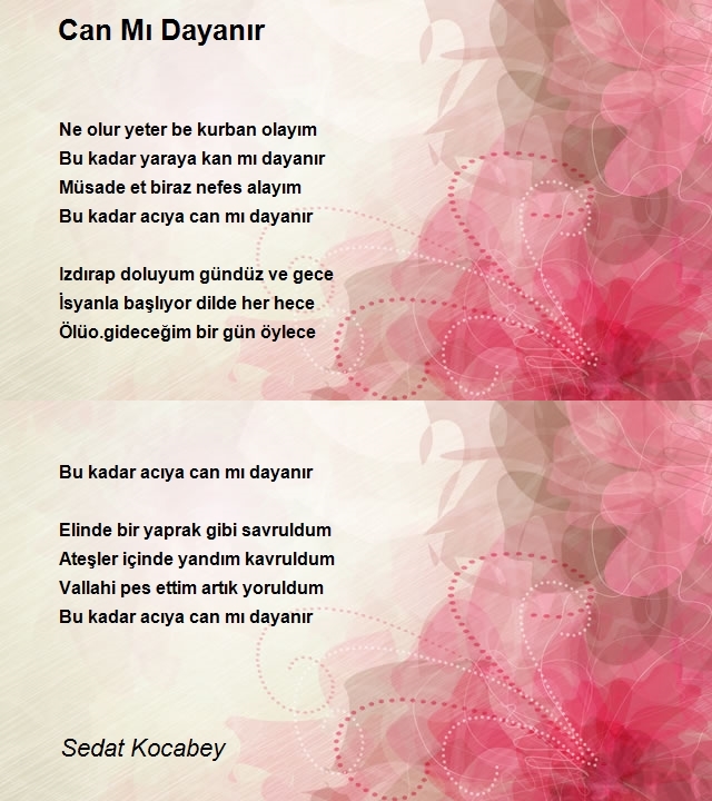 Sedat Kocabey