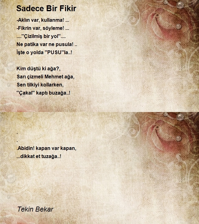 Tekin Bekar