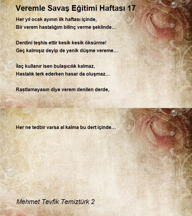 Mehmet Tevfik Temiztürk 2