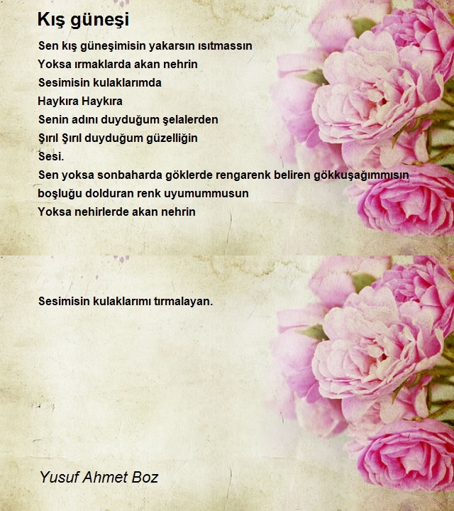 Yusuf Ahmet Boz