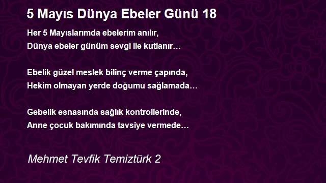 Mehmet Tevfik Temiztürk 2