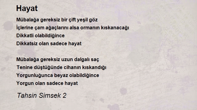 Tahsin Simsek 2