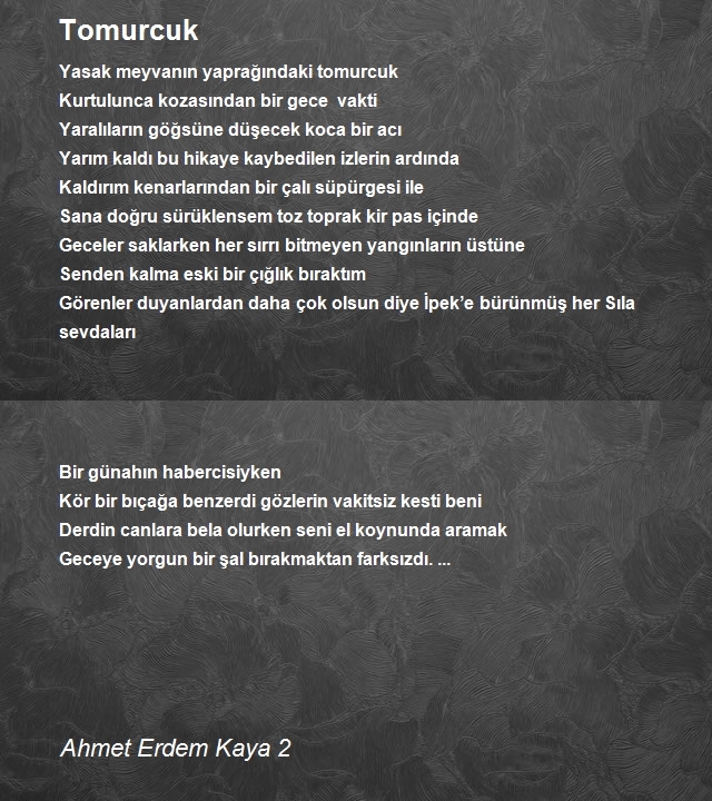 Ahmet Erdem Kaya 2