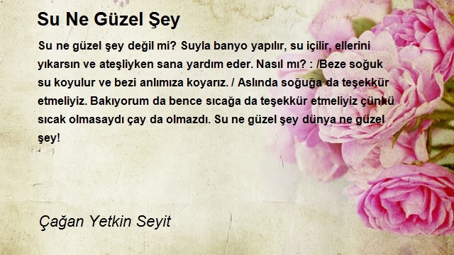 Çağan Yetkin Seyit