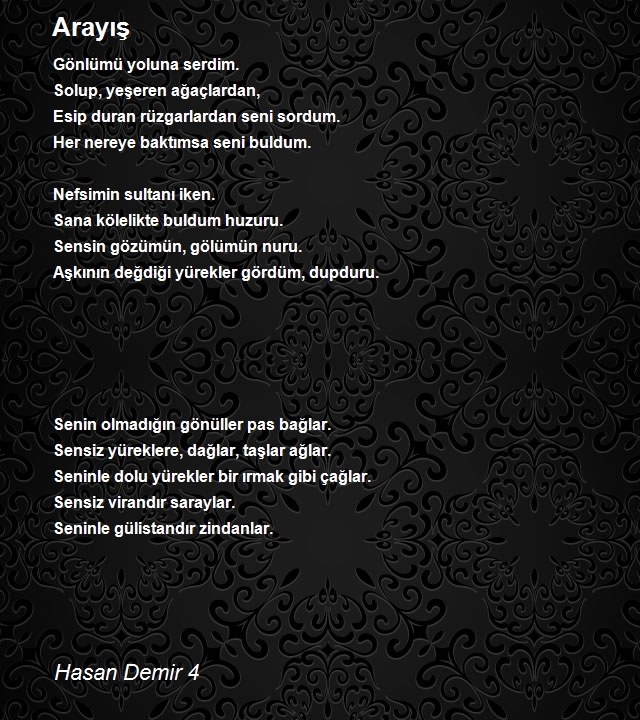 Hasan Demir 4