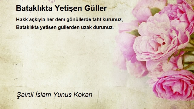 Şairül İslam Yunus Kokan