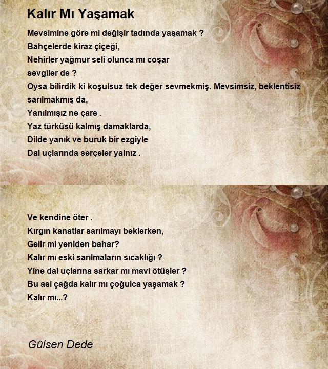 Gülsen Dede