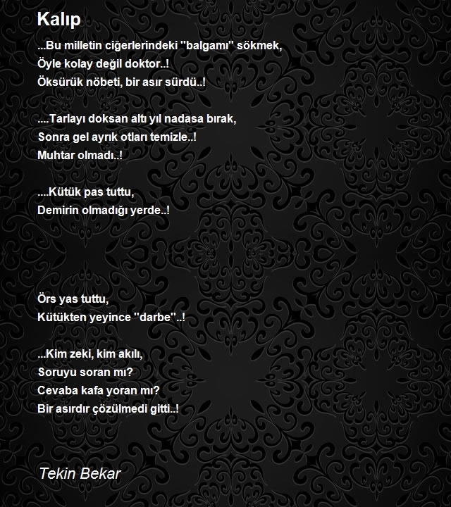 Tekin Bekar