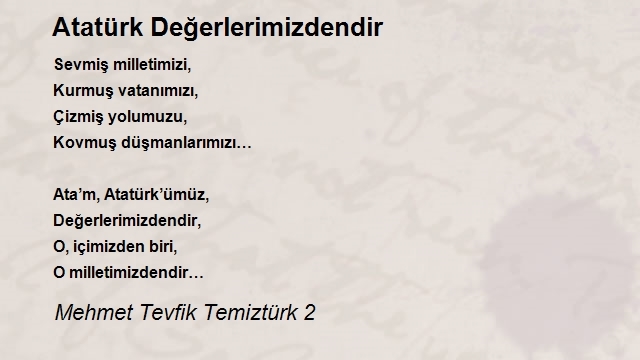 Mehmet Tevfik Temiztürk 2