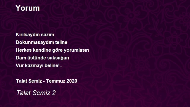 Talat Semiz 2