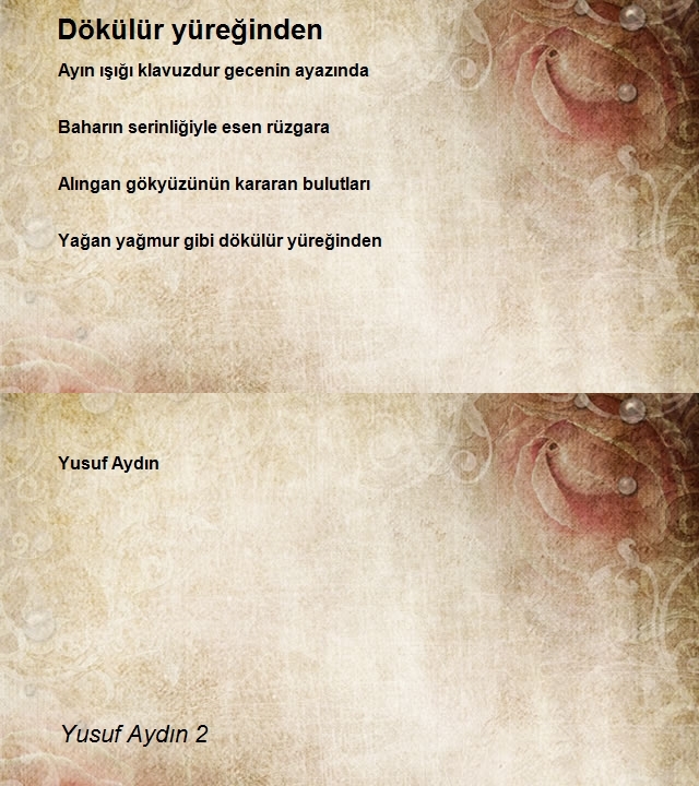 Yusuf Aydın 2