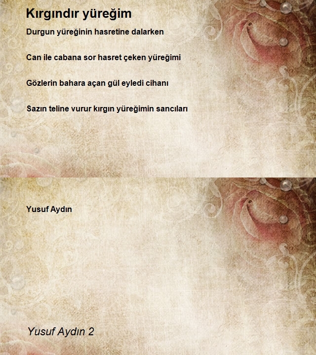 Yusuf Aydın 2