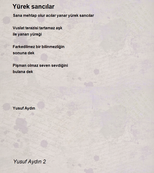 Yusuf Aydın 2