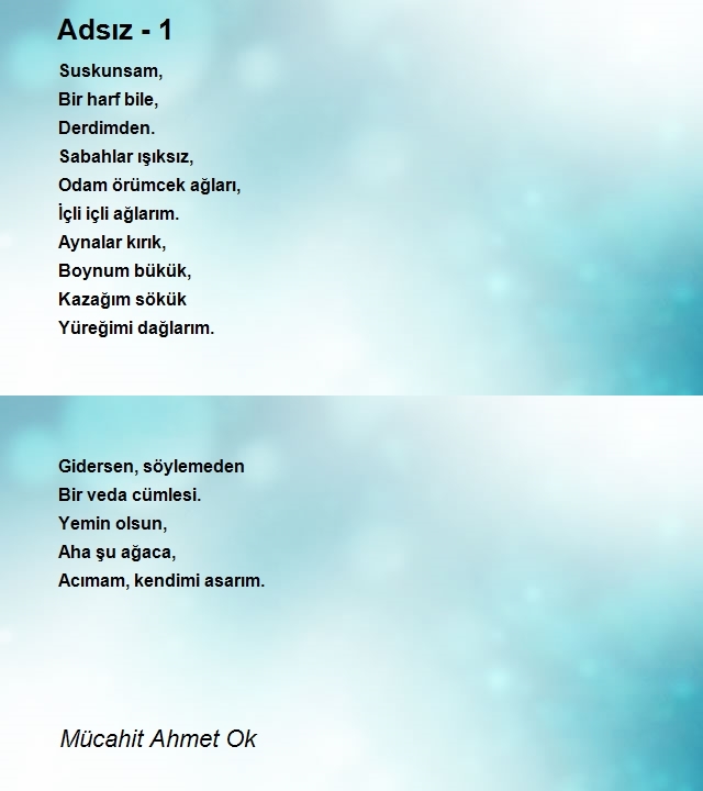 Mücahit Ahmet Ok