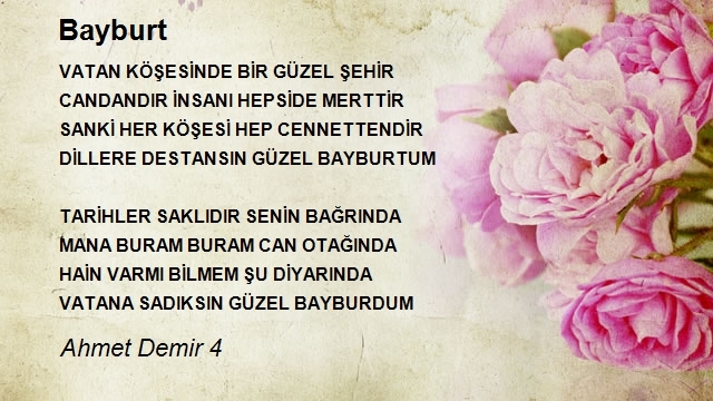 Ahmet Demir 4