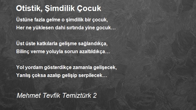 Mehmet Tevfik Temiztürk 2