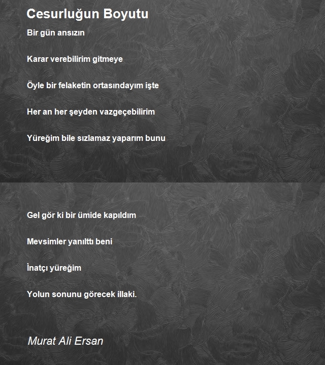 Murat Ali Ersan