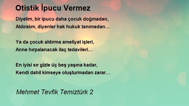 Mehmet Tevfik Temiztürk 2