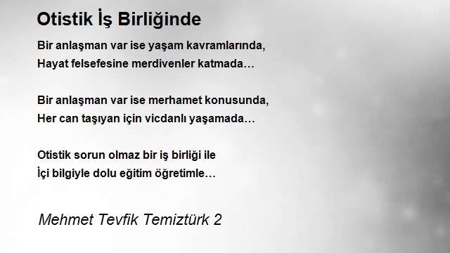 Mehmet Tevfik Temiztürk 2