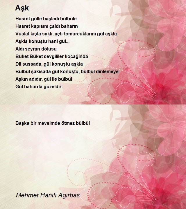 Mehmet Hanifi Agirbas