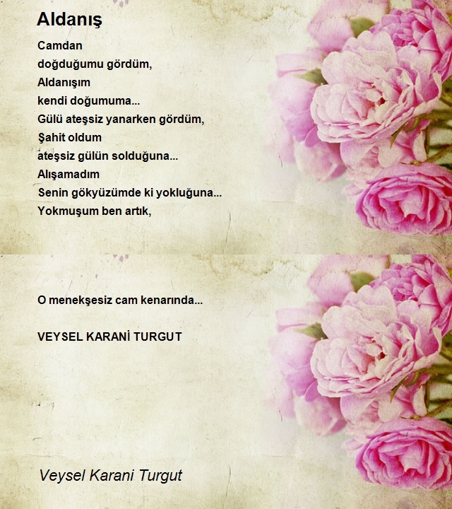 Veysel Karani Turgut