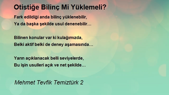 Mehmet Tevfik Temiztürk 2