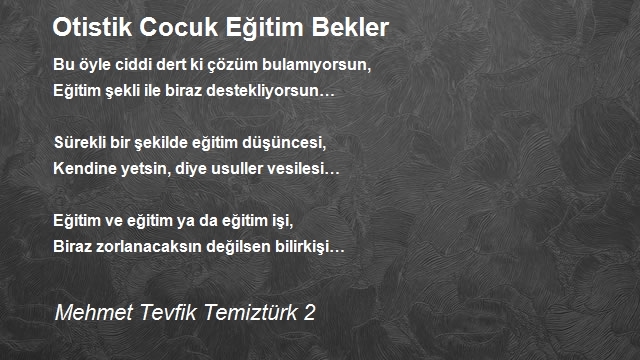 Mehmet Tevfik Temiztürk 2