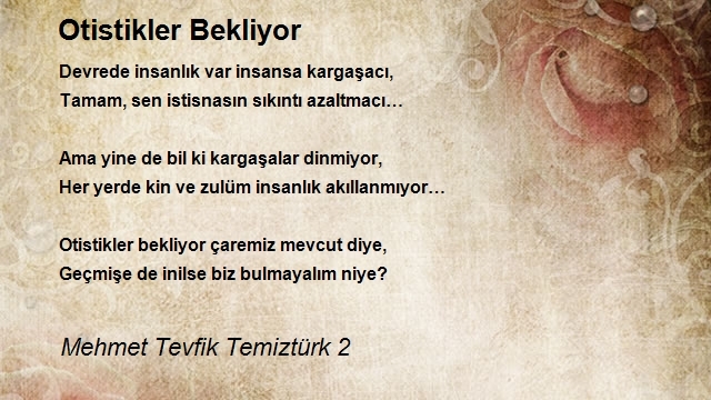 Mehmet Tevfik Temiztürk 2