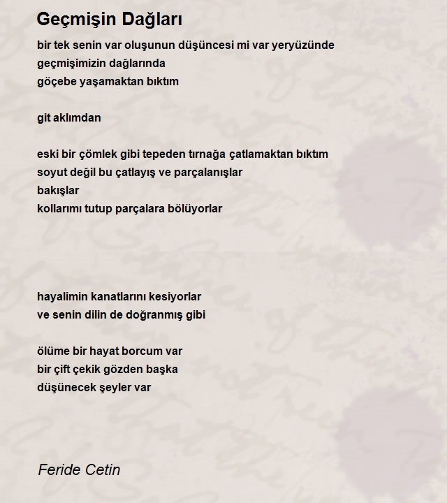 Feride Cetin