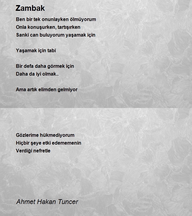 Ahmet Hakan Tuncer