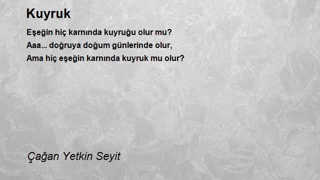 Çağan Yetkin Seyit