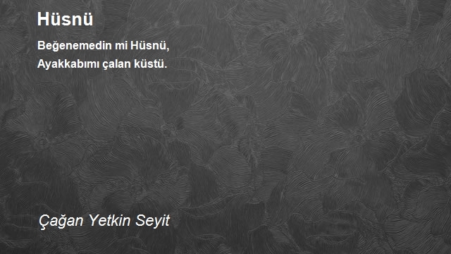 Çağan Yetkin Seyit