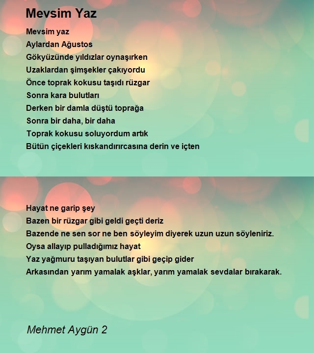 Mehmet Aygün 2