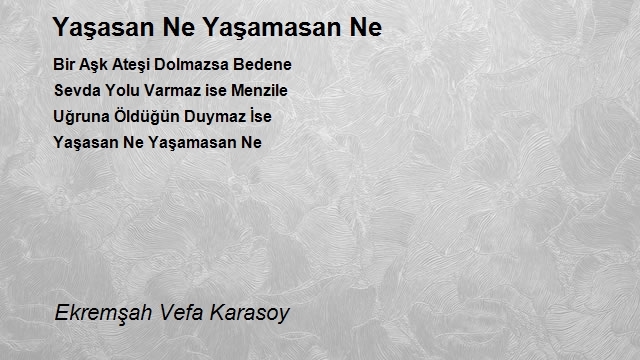 Ekremşah Vefa Karasoy