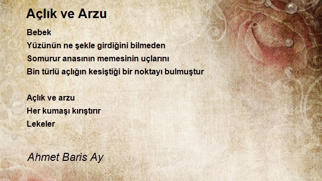 Ahmet Baris Ay