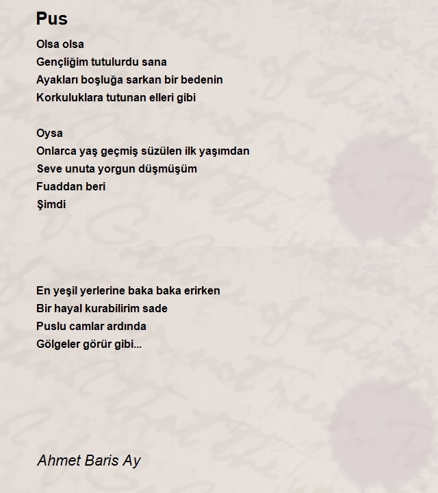 Ahmet Baris Ay